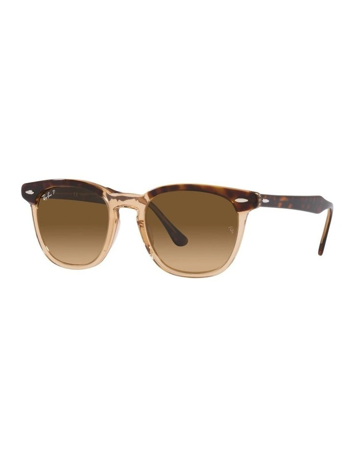 Hawkeye Brown Polarised Sunglasses