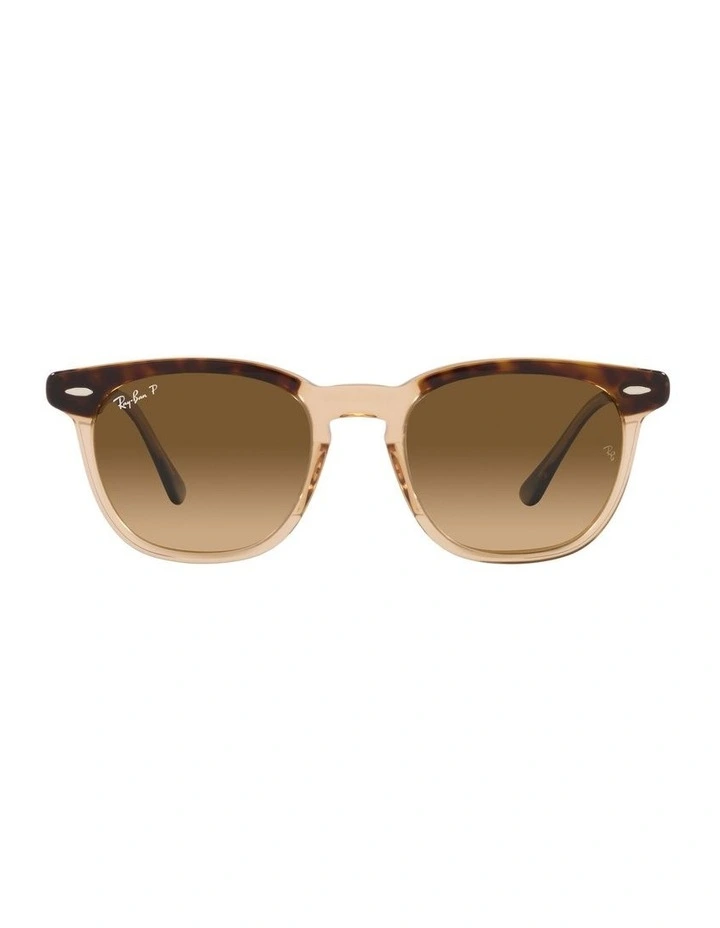 Hawkeye Brown Polarised Sunglasses