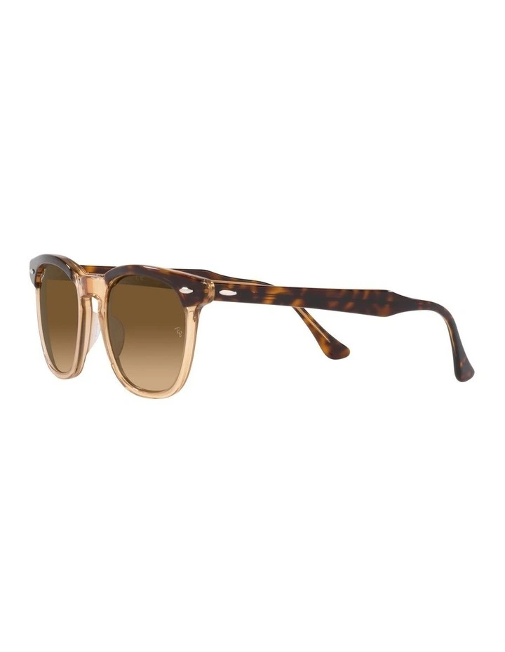 Hawkeye Brown Polarised Sunglasses