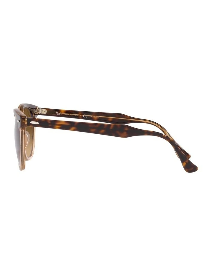 Hawkeye Brown Polarised Sunglasses