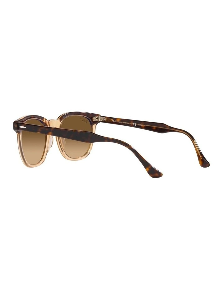 Hawkeye Brown Polarised Sunglasses