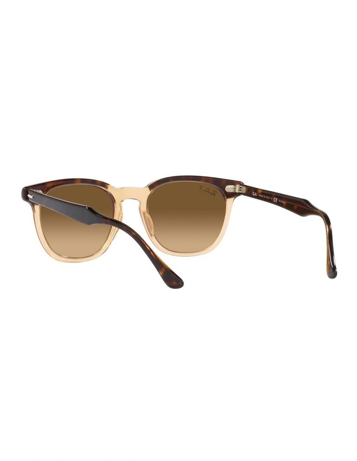 Hawkeye Brown Polarised Sunglasses