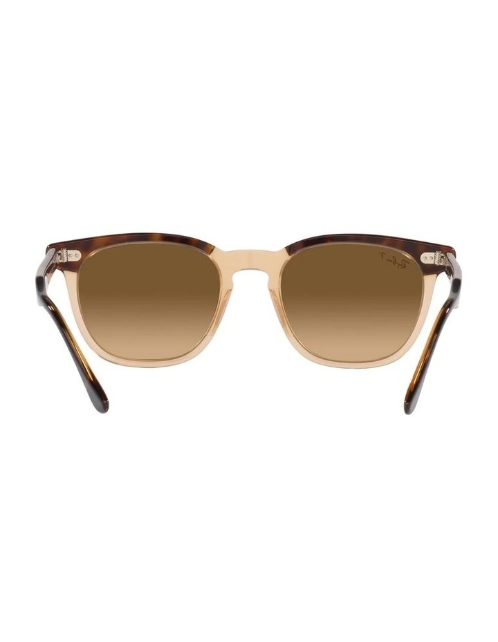 Hawkeye Brown Polarised Sunglasses